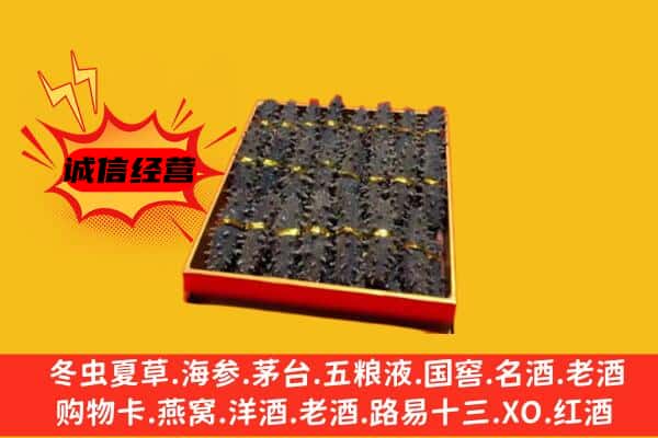 驿城区回收海参